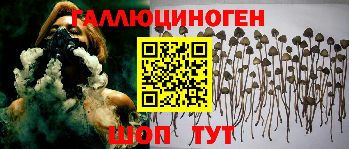 Галлюциногенные грибы Magic Shrooms Великие Луки